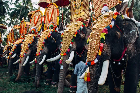 Kerala Special Tour