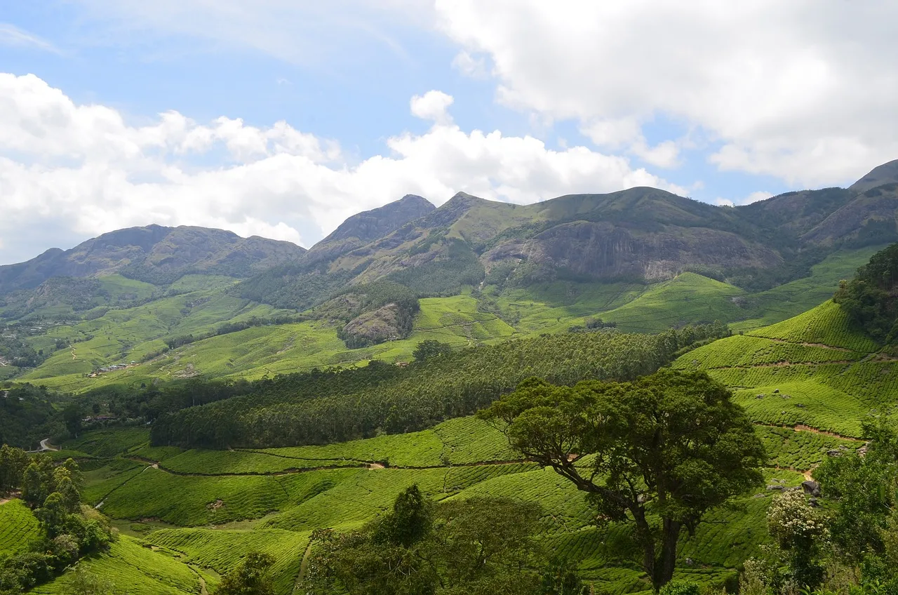 South India Heritage Odyssey: Temples, Nature & Culture
