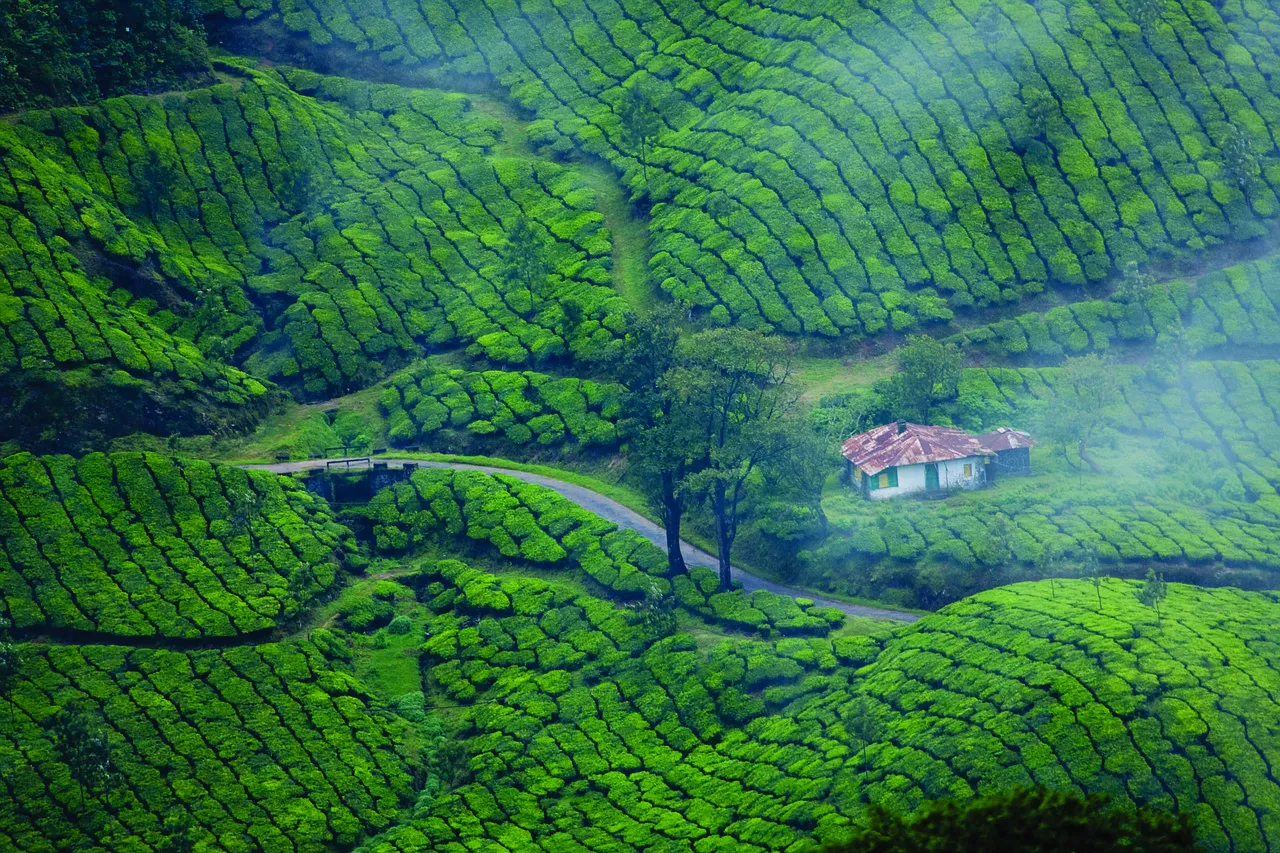 Kerala Ayurveda Tour