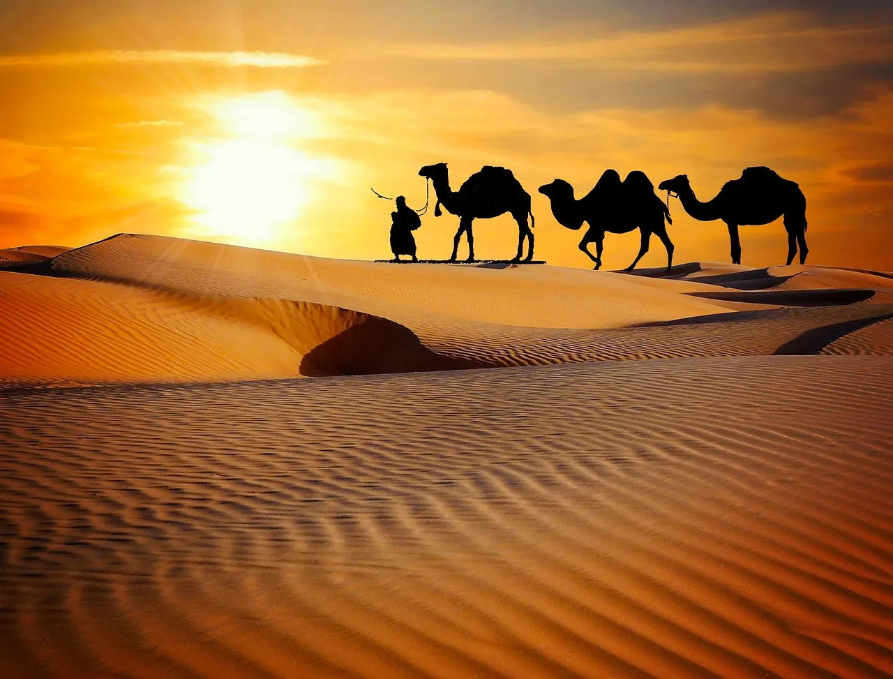 Splendours of Rajasthan